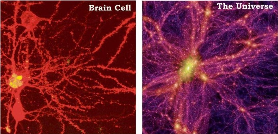 Cellules du cerveau - L'univers
