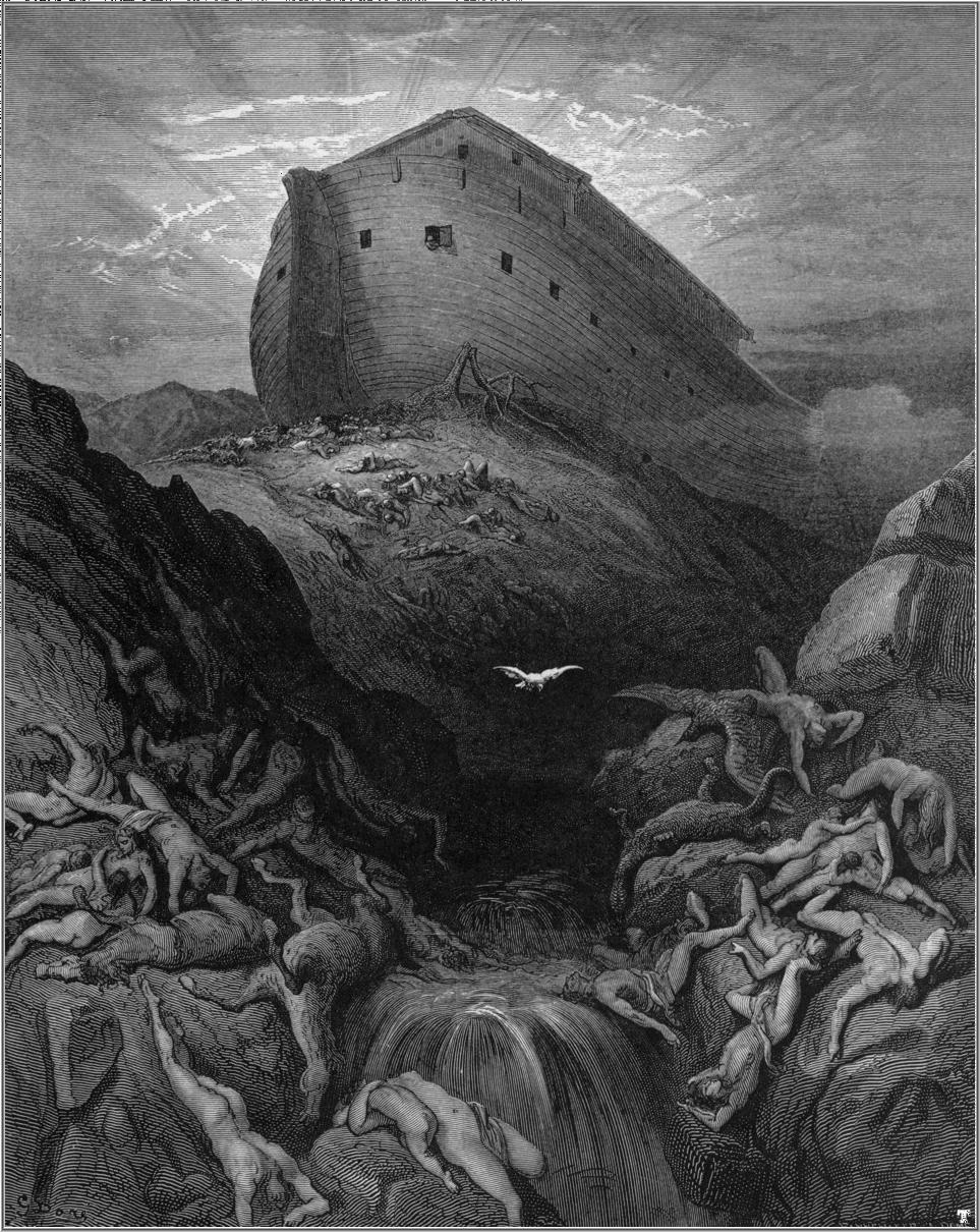 L'arche de Noé pour sauver les espèces