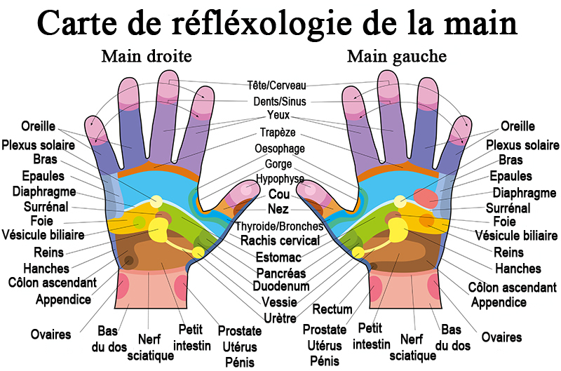 carte-main-reflexologie