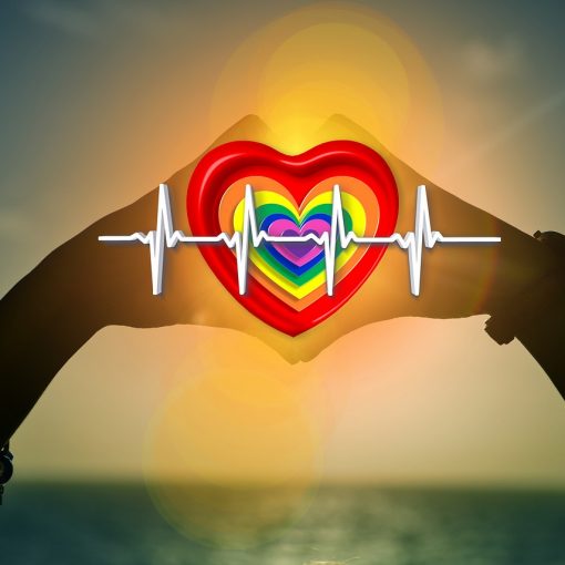 calculez vos biorythmes